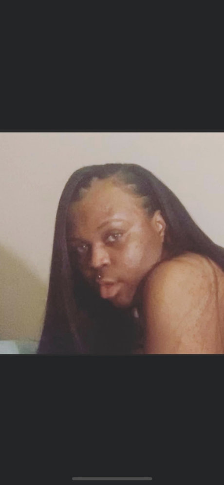 Pink Impala 素敵なスター アーカイブ