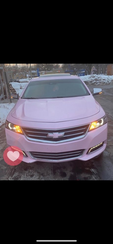 Pink Impala セックスポルノスター 画像