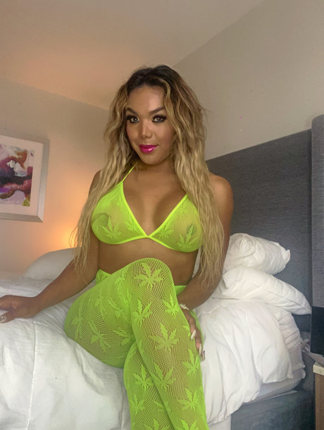 Shavel 高品質モデル 写真