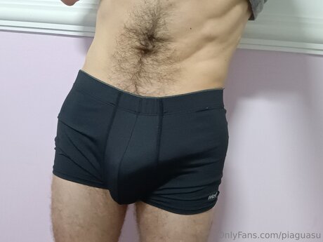 Pi Guasu アダルトスター 画像