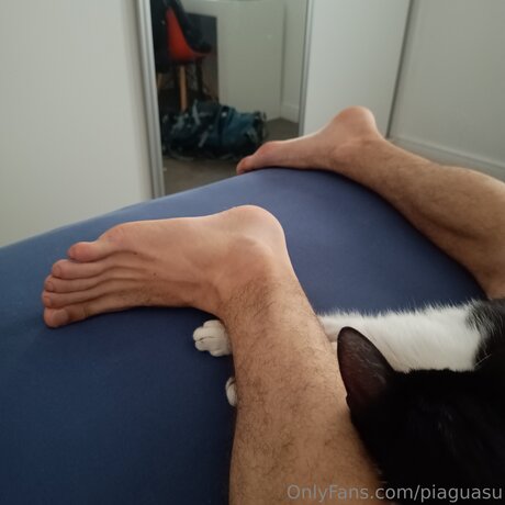 Pi Guasu 素敵なスター 写真