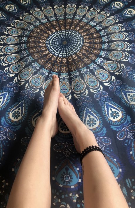 petitpied かわいいスター 写真