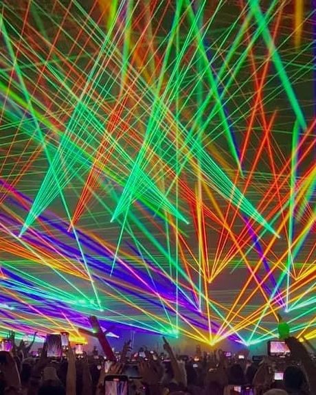 Chincona 美しいスター ギャラリー