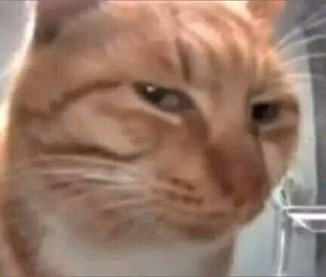 Benny Boy アートモデル 写真