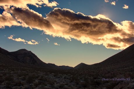 PogiNeko ホットなスター 写真