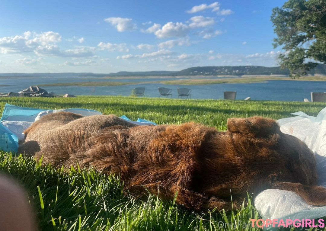 mary a b 高品質のスター 写真