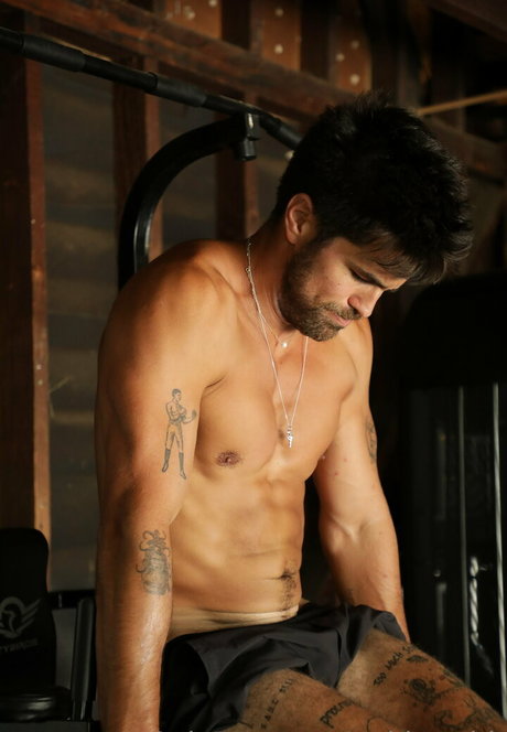 toddysmith HDスター 画像