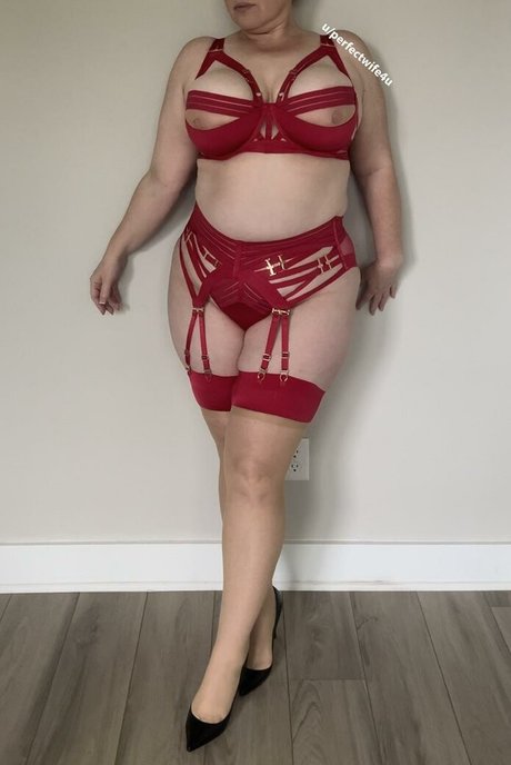 The Perfect Wife XXXモデル 写真