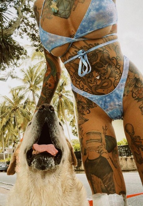 Bantikboy 裸のポルノスター 画像