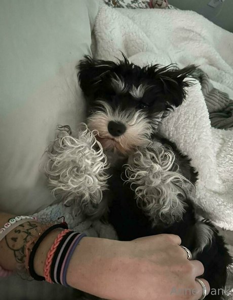 曲線美のアナルOnlyFans 無料セックス 写真