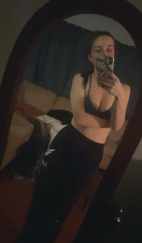 embertay HDモデル 画像