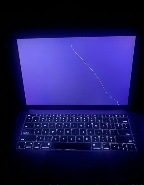 本物のティーンオンリーファン アダルト 写真