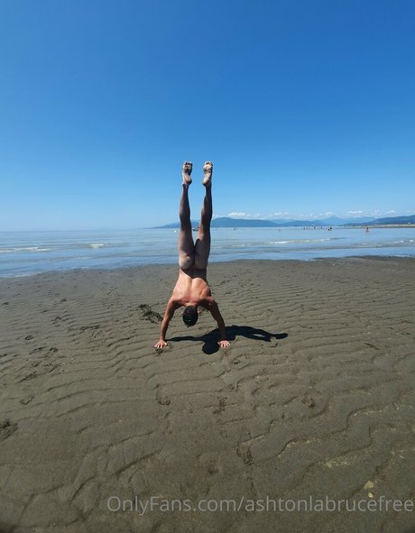 ashtonlabrucefree HDスター 画像