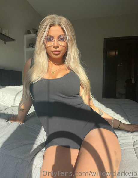 willowclarkvip ヌード女優 画像