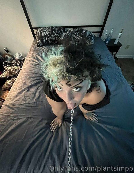 plantsimpp トップスター 写真