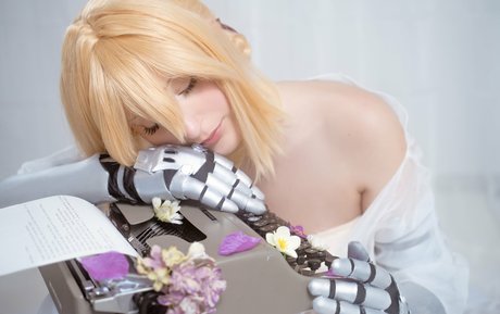 Elycoris ポルノスター 写真