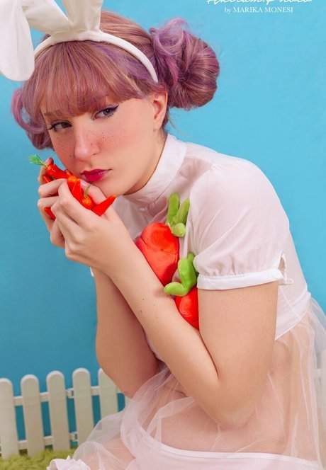 Elycoris かわいいスター 画像