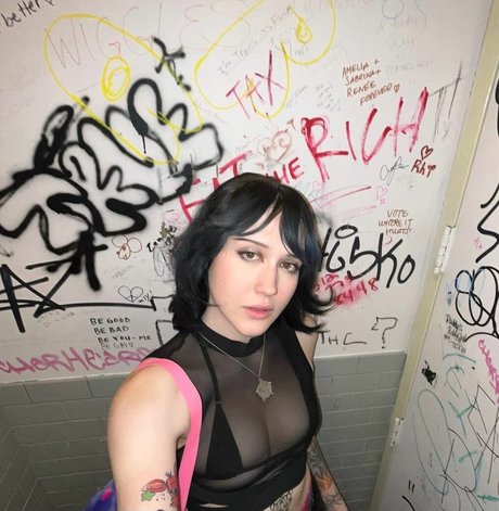 gray アートスター 写真