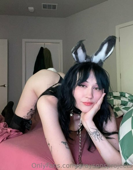 gray 完璧なスター 写真