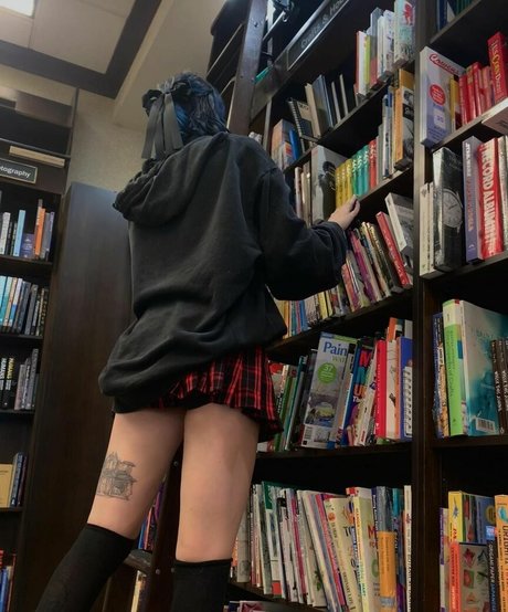 gray 限定スター アーカイブ