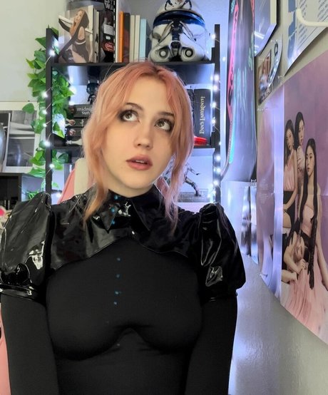 gray 素敵なスター 写真