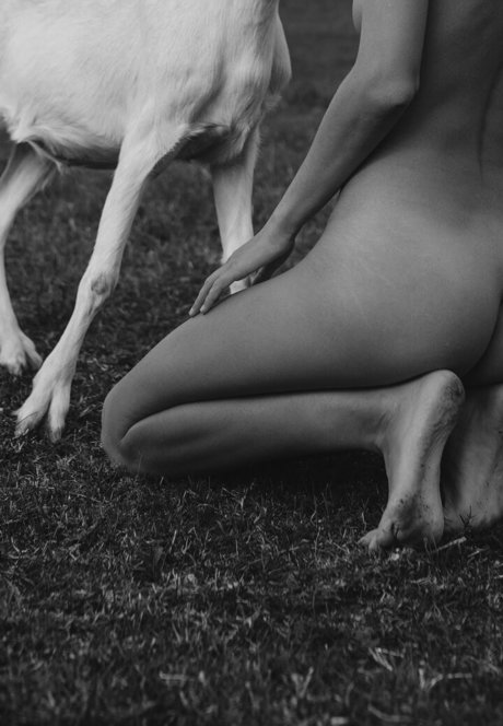 BBC フェラチオ OnlyFans ホットxxx 画像