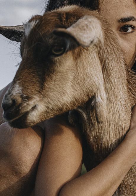 ハードファックOnlyFans ポルノ 写真