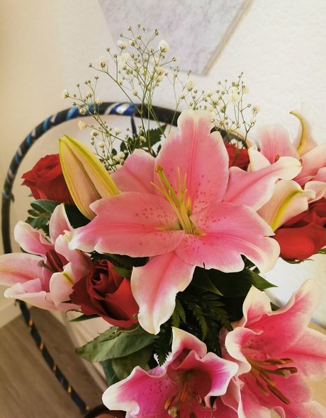 tiggerroseyfree 裸のスター 写真