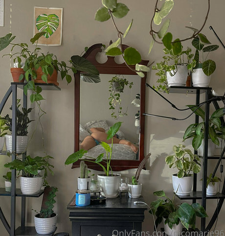 nicomarie96 無料のスター 写真