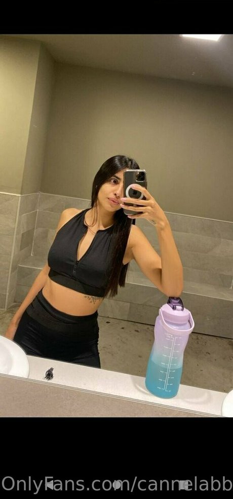 Cannelabb HDポルノスター ギャラリー