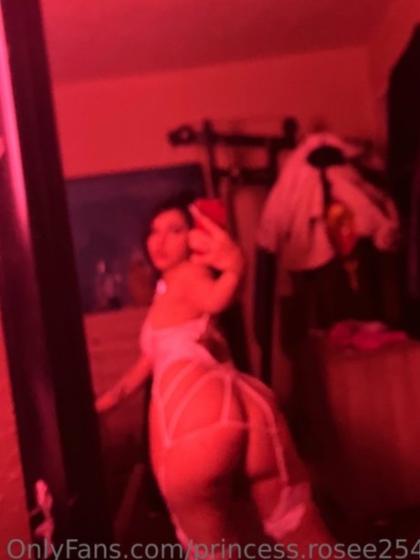 Princess rosee254 限定スター アーカイブ