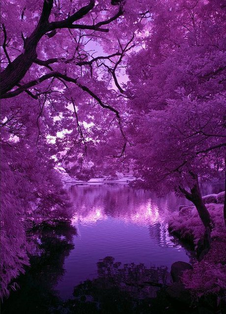 Prince Mikail HDスター ギャラリー