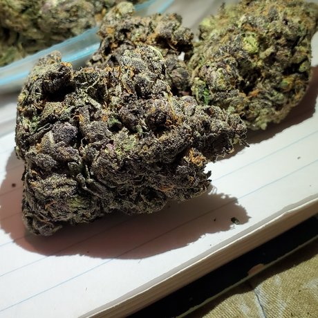 Crunchtyme Ent_ エロティックなスター 写真