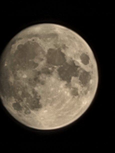 Prove it ポルノスター 裸 写真