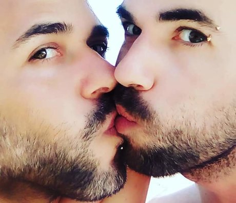 D amp ampR セックスポルノスター 画像