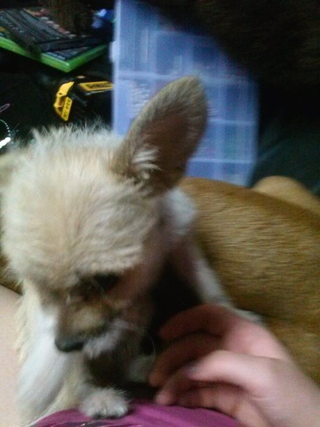 _Miss M rder_ 高品質モデル ギャラリー