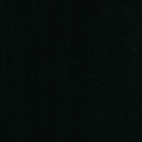 garbage スター ヌード 画像