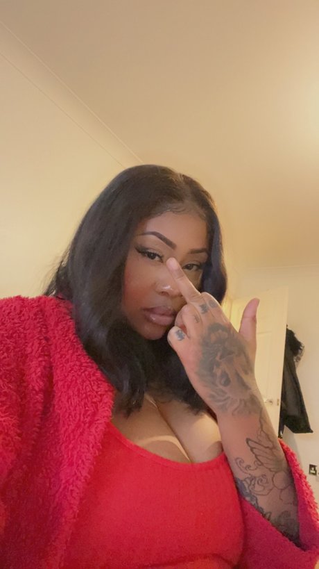 Bluey HDスター 写真