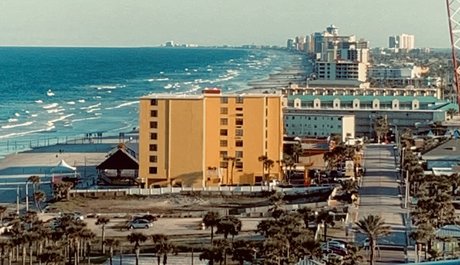 ColdwarTTV トップポルノスター 画像