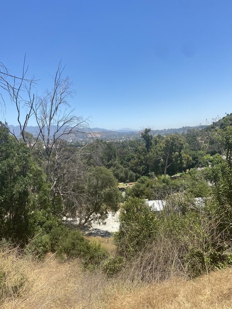 Pu y Princess_ xxx女優 画像