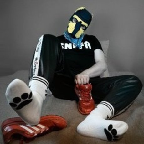 Puppy Timbo モデル ギャラリー