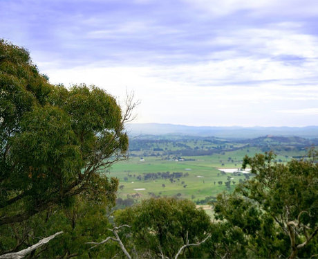 Domaway212_ ヌードスター 写真