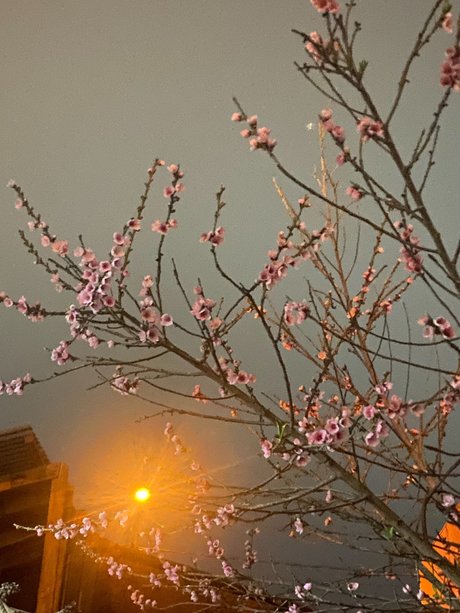 edgardo barraza 裸の女優 写真