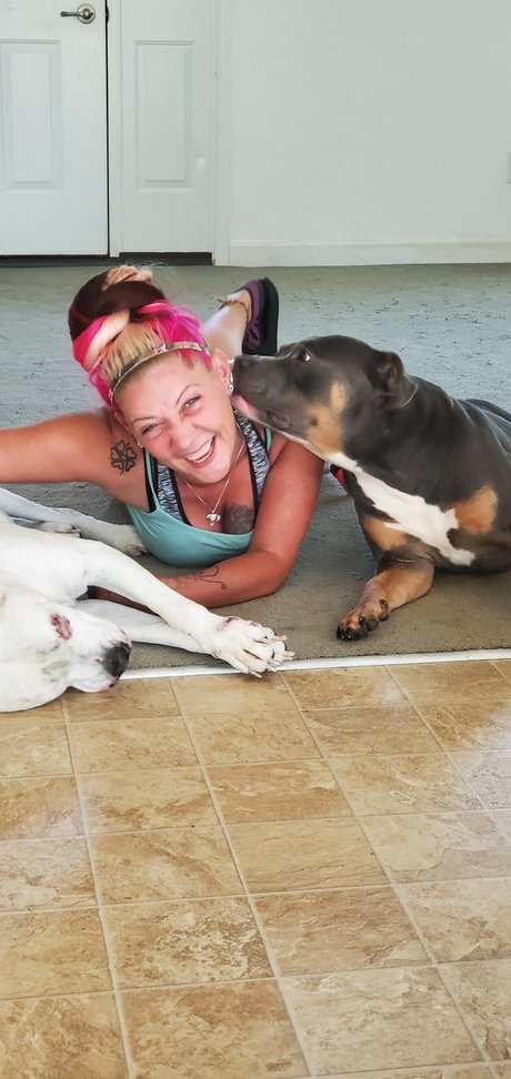 To hott to handle モデル ギャラリー