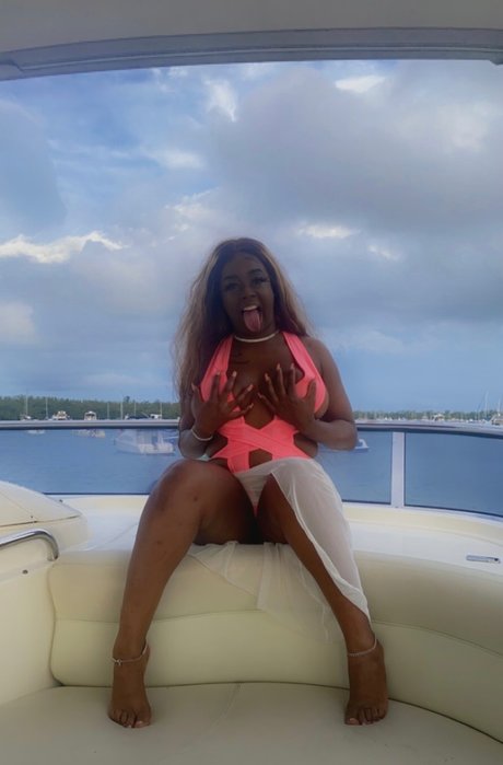 PRESSUREDADON HDモデル ギャラリー