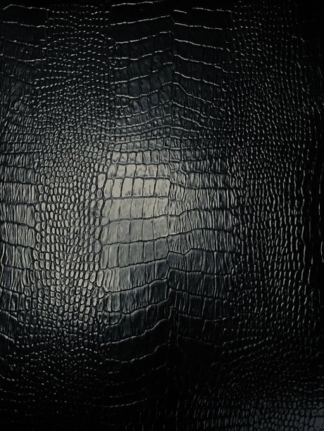 Rafael Zorzella ヌードスター 写真