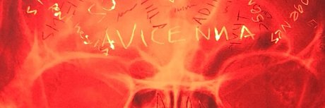 Radche 限定モデル ギャラリー