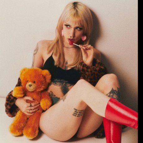 dismal ホットモデル 画像