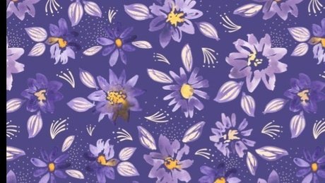 Feet of Daf_ エロティックなポルノスター 写真