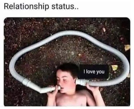 T B 完璧なモデル 画像